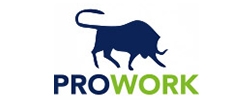 prowork-250x100 Prowork